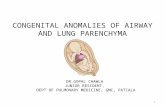 Congenital Anomalies of airway and lung parenchyma