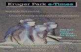 16881971 Kruger Park Etimes 1