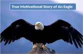 True Motivational Story of An Eagle