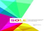 Sole Toolkit (self organised learning environment)