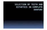 Selection of Teeth and Esthetics in Complete Denture