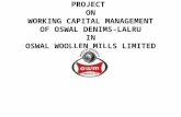 Oswal Woollen Mills Ltd Summer Project Ppt
