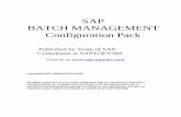 SAP Batch-Management-Configuration