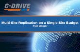 Multi-Site Replication on a Single-Site Budget