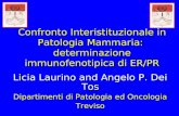 Confronto Interistituzionale in Patologia Mammaria: determinazione immunofenotipica di ER/PR Licia Laurino and Angelo P. Dei Tos Dipartimenti di Patologia.