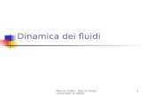 Marina Cobal - Dipt.di Fisica - Universita' di Udine1 Dinamica dei fluidi.