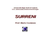 Università degli Studi di Catania U.O. clinicizzata Endocrinochirurgia SURRENI Prof. Mario Costanzo.