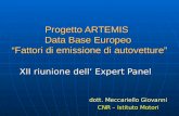 Progetto ARTEMIS Data Base Europeo Fattori di emissione di autovetture XII riunione dell Expert Panel dott. Meccariello Giovanni CNR – Istituto Motori.