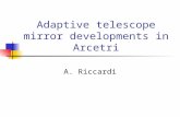 Adaptive telescope mirror developments in Arcetri A. Riccardi.