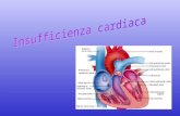 Linsufficienza cardiaca comporta alterazioni a carico di funzionalità cardiaca status neuro-umorale funzionalità vascolare sistemica volume ematico.