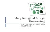 Morphological Image Processing Francesca Pizzorni Ferrarese 07/04/2010.
