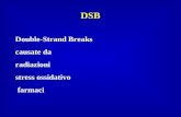 DSB Double-Strand Breaks causate da radiazioni stress ossidativo farmaci.