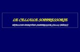 LE CELLULE SOPPRESSORIE MYELOID-DERIVED SUPPRESSOR CELLS (MDSC)