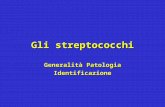 Gli streptococchi Generalità Patologia Identificazione.