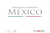 1 OPPORTUNITà DI BUSINESS IN 1. Messico: Opportunità e Investimenti 2.