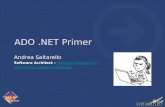 ADO.NET Primer Andrea Saltarello Software Architect – Software Architect – Managed Designs S.r.l.Managed Designs S.r.l. .