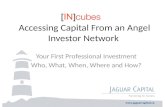 Incubes presentation accessing capital from an angel investors 2013 01 30
