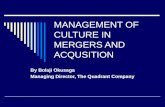 Management of culture in mergers and acqusition