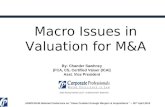 Macro Issues in Valuation for M&A: Business Valuation Article