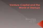 Venture Capital   Presentation