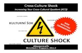 Cross Culture Shock
