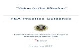 FEA Practice Guidance