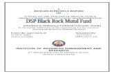Dsp black rock projct