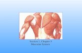 section 1, chapter 9: muscular system