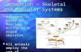 Musculoskeletal Lecture
