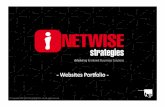 Netwise Strategies Profile