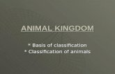 Animal kingdom plus1