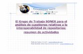 The SONEX Workgroup for the Analysis of Repository Interoperability-Related Issues: a Summary of Activities