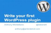 Write your first WordPress plugin