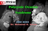 Lect 2-polycystic ovarian syndrome