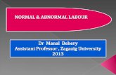 Mcq on normal and abnormal labor for undergraduate
