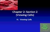 Chapter 2 section 2 (2011):  Viewing Cells