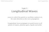 Topic 5 longitudinal wave