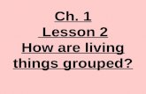 4th Grade Ch. 1 Lesson 2 How Are Living Things Grouped