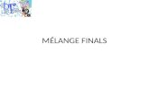 Melange French Quiz Finals - Put Funda