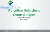 Paradiso solutions open badges