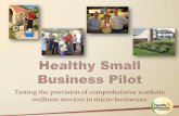 A Health Promotion Model for Small Businesses – The Healthy Small Business Pilot
