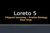 Loreto 5  Elsa Vink 2013