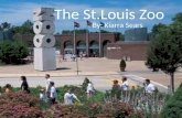 IT PPP S14 St. Louis Zoo tour kks