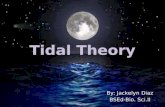 Tidal Theory