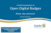 Open Digital Badges   Mallinson