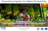 IGIDR-IFPRI- Expanding Irrigation for Higher Productivity, B.R. Sharma IWMI