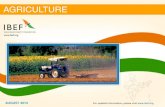 India : Agriculture Sector Report_August 2013
