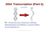 DNA Transcription- Part-1