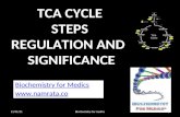 TCA cycle- steps, regulation and significance