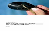 Protocol on best practice  holding and handling live blue mussels
